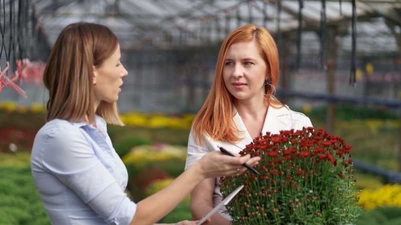 Garden Advice Homenumental: Complete Guide