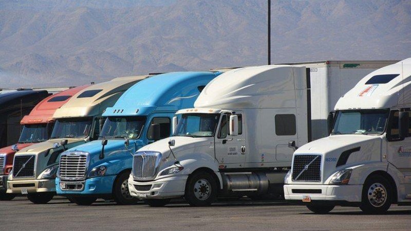 How Fleet Graphics Turn Moving Vehicles Into Durable Brand Architecture
